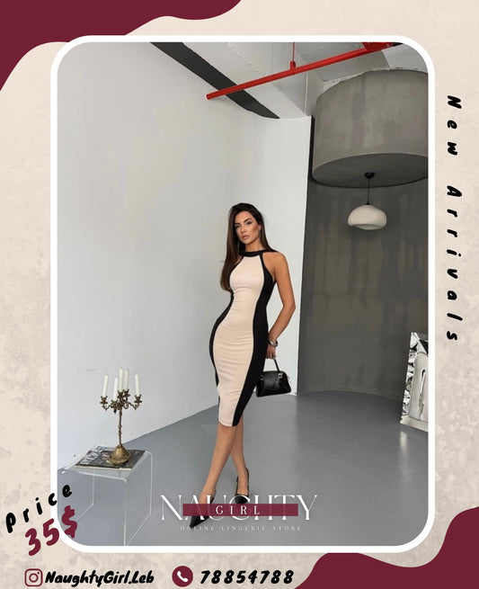 Elegant Dress